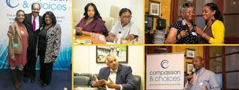 A collage of images of the African American Leadership Council working in the community